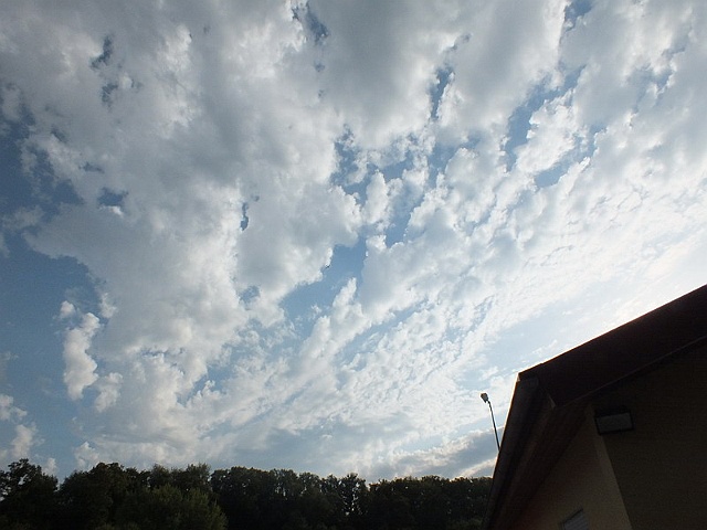 Bild (57)
